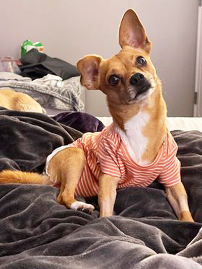 Paco