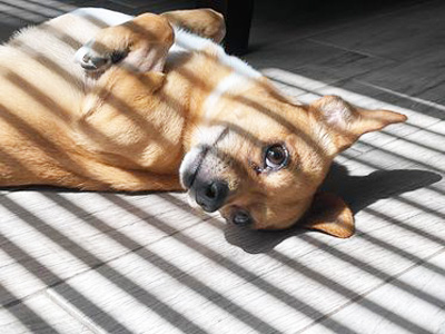 Paco3