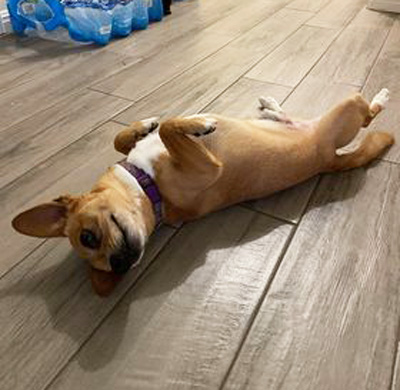 Paco5