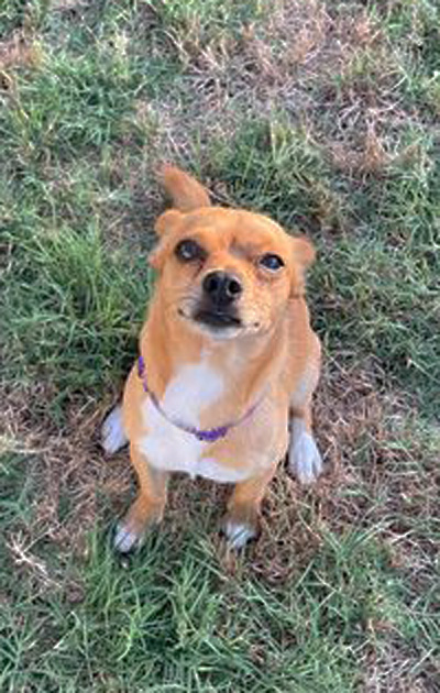Paco6