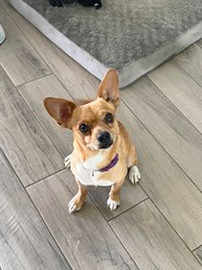 Paco7