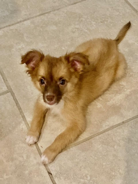 bella5