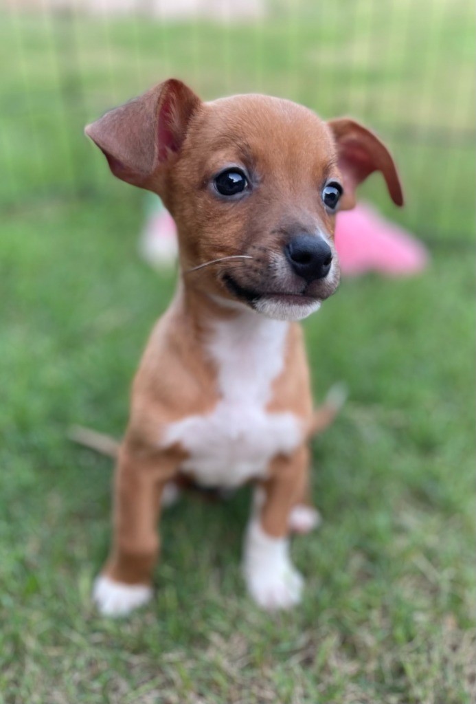 zeus3