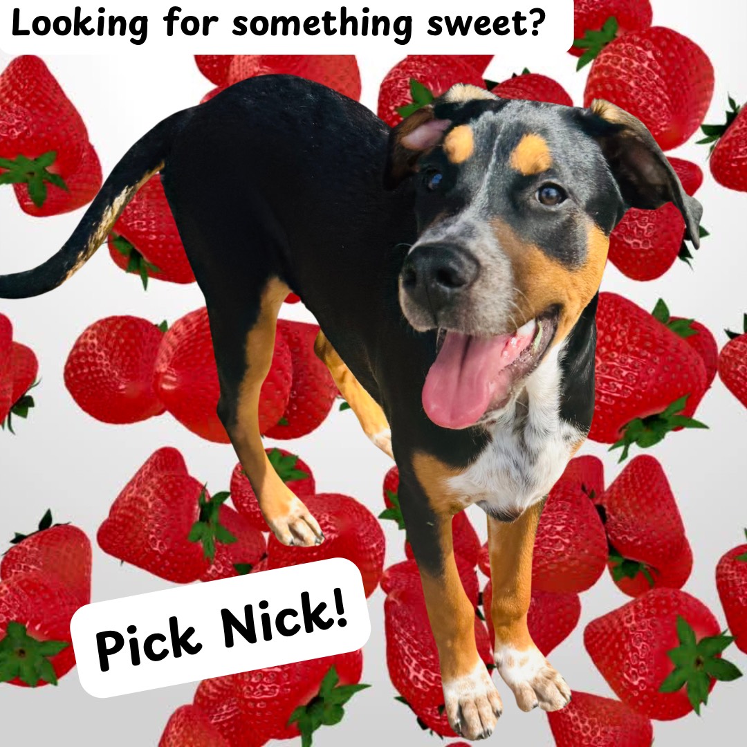 Looking for something sweet?