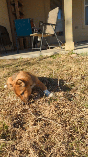 PXL_20250124_153221194_exported_stabilized_1737760967148