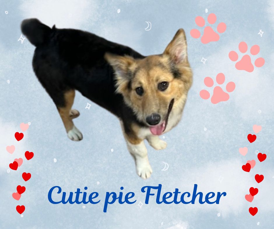 Fletcher2