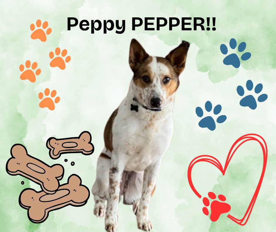 Pepperpic