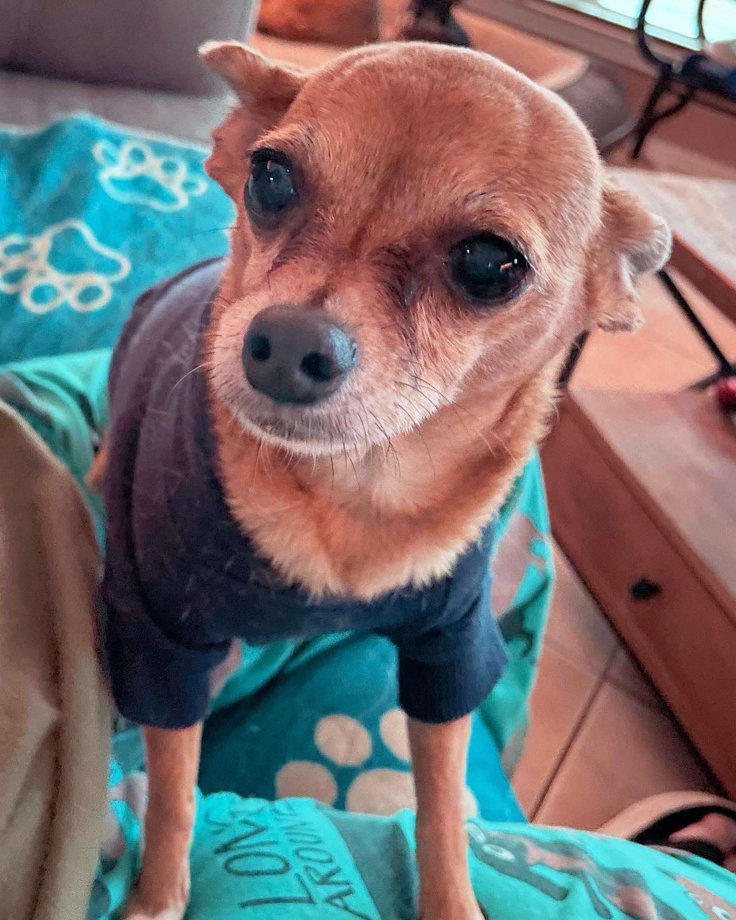 Tinkerbell