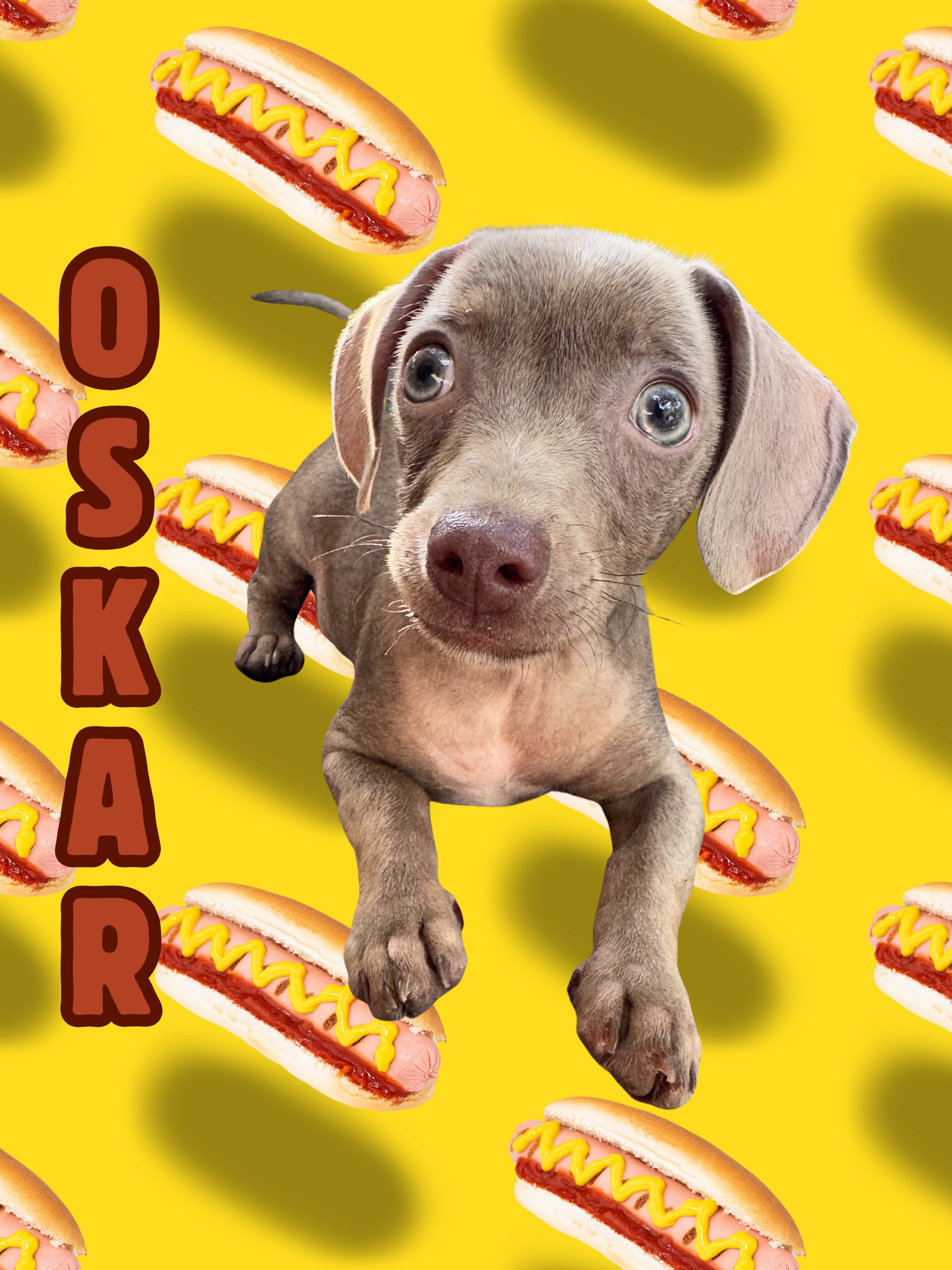 O S K A R (Presentation (43))