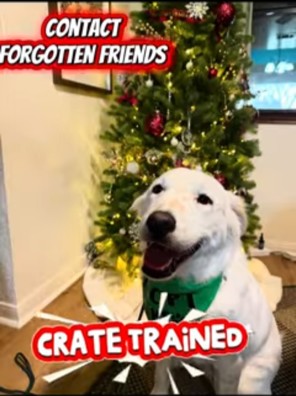 Wilsonchristmas2
